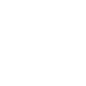Icon showing dollar sign with down arrows.
